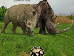 Mencengangkan! Ini Perbandingan Hewan Modern dan Nenek Moyangnya