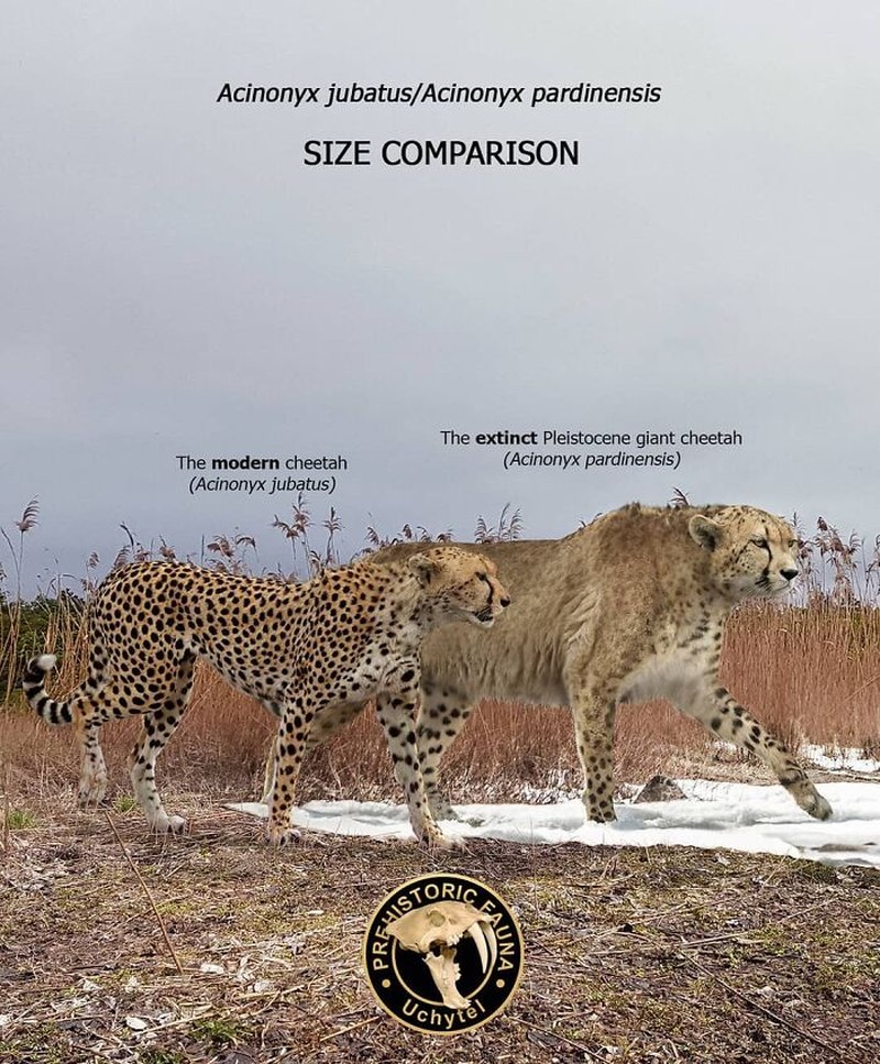 Perbandingan hewan prasejarah