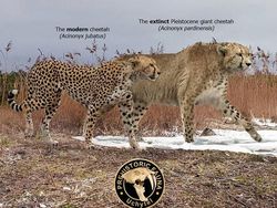 Mencengangkan! Ini Perbandingan Hewan Modern dan Nenek Moyangnya