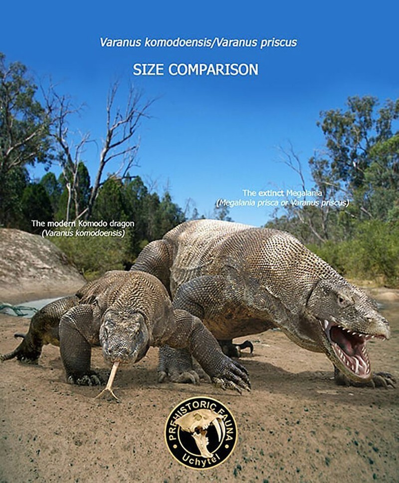 Perbandingan hewan prasejarah