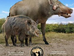 Mencengangkan! Ini Perbandingan Hewan Modern dan Nenek Moyangnya