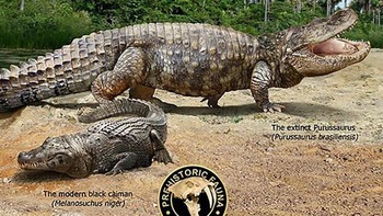 Roman Uchytel telah menerbitkan buku soal hewan prasejarah yang bisa dilihat di sini. Foto: dok Roman Uchytel via Boredpanda