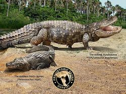 Mencengangkan! Ini Perbandingan Hewan Modern dan Nenek Moyangnya