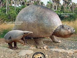 Mencengangkan! Ini Perbandingan Hewan Modern dan Nenek Moyangnya