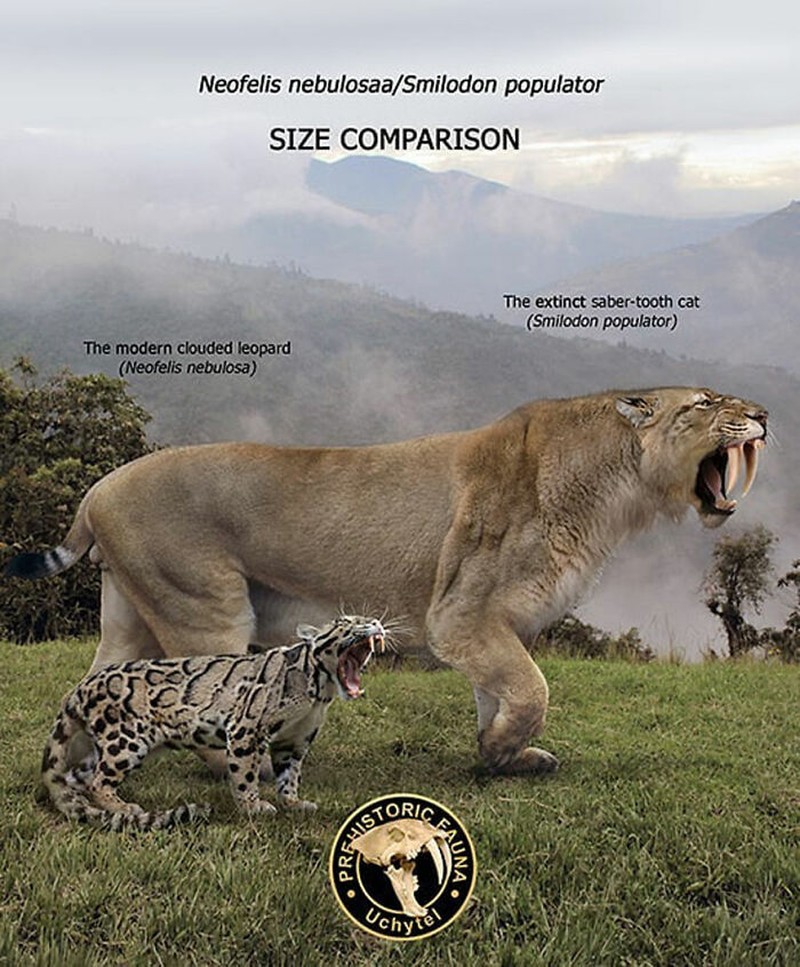 Perbandingan hewan prasejarah