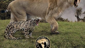 Perbandingan macan tutul dengan saber-tooth. Foto: dok Roman Uchytel via Boredpanda