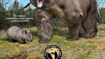 Perbandingan capibara. Foto: dok Roman Uchytel via Boredpanda