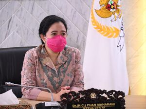 Puan Awasi Kebijakan Jokowi Soal Gerak-gerik WNA di RI Selama Pandemi