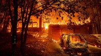 Dua mobil yang terparkir di halaman sebuah rumah hangus terbakar di California, Amerika Serikat, Senin (26/7/2021) waktu setempat.  