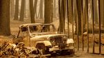 Puluhan Mobil Ludes Gegara Kebakaran Hutan