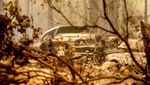 Puluhan Mobil Ludes Gegara Kebakaran Hutan