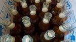 Semringah Peternak Lebah saat Madu Laris Manis di Masa Pandemi