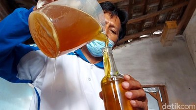 Semringah Peternak Lebah saat Madu Laris Manis di Masa Pandemi