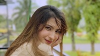 Diceritakan bahwa pemilik akun TikTok itu mendapat Shirin telah merebut suami kakaknya sendiri. Ia bahkan memperlihatkan unggahan insta story dari Shirin. Foto: Instagram @shirinsafira