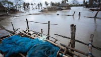 Selama tiga tahun terakhir Taman Nasional Sundarban mengalami empat badai siklon. (Getty Images/iStockphoto)