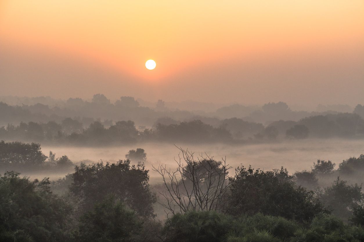 Taman Nasional Sundarbans