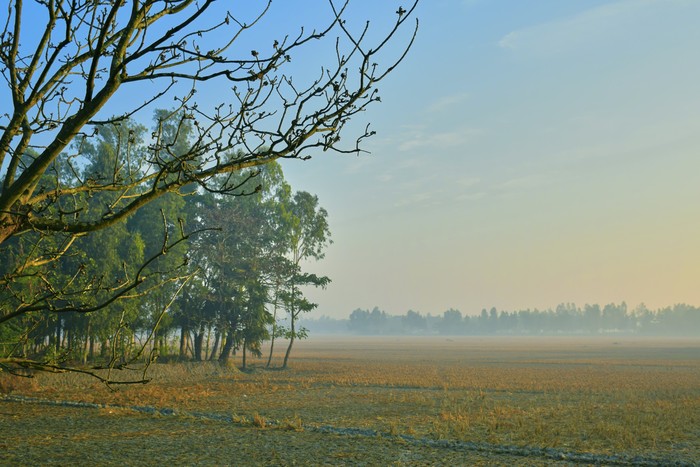 Taman Nasional Sundarbans