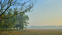 Kekayaan Sundarban menjadi penghidupan bagi hampir dari setengah juta orang yang hidup di dekat hutan mangrovenya. (Getty Images/iStockphoto)