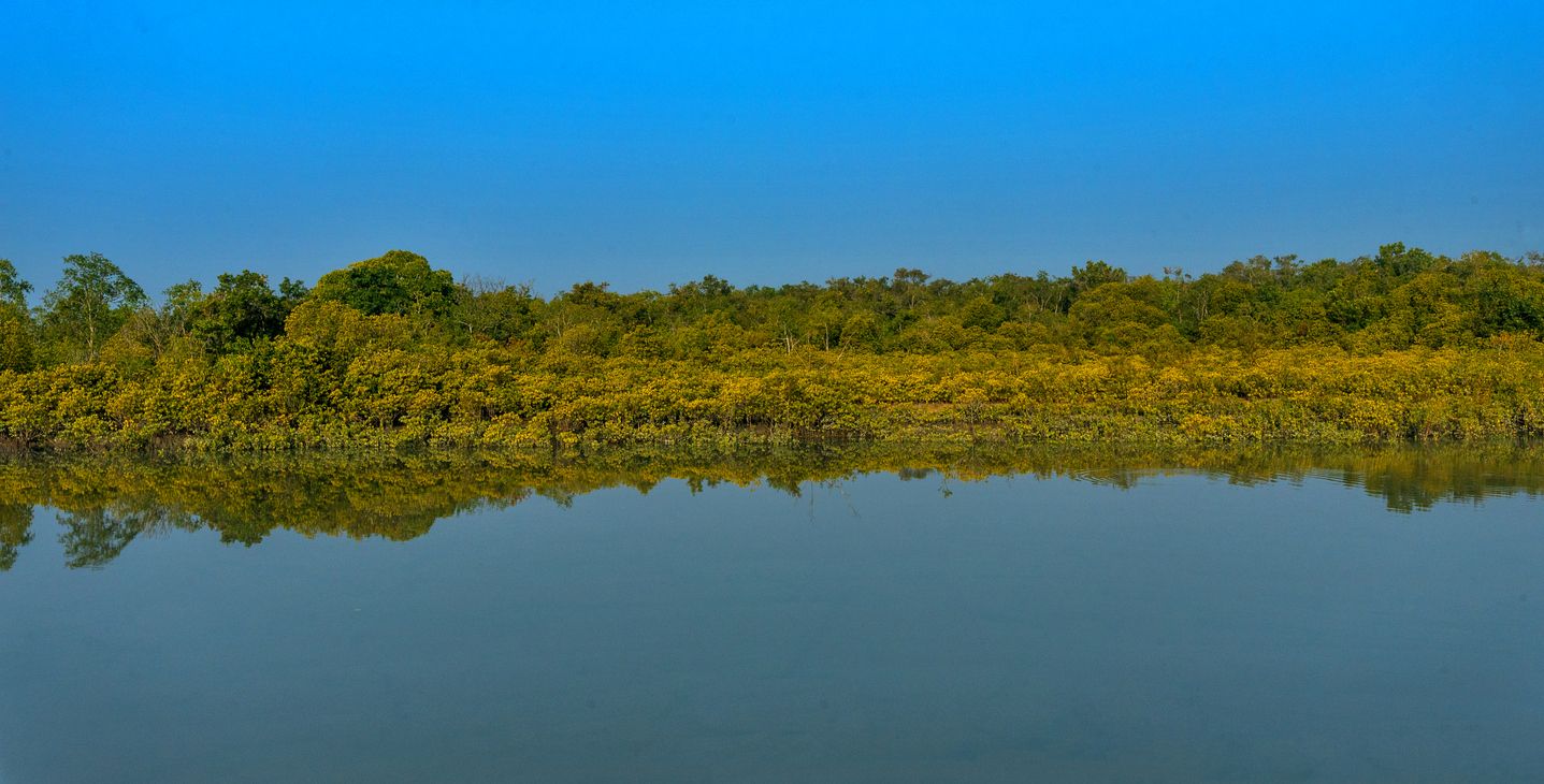 Taman Nasional Sundarbans