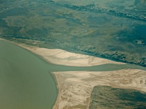 Sundarban, Muara Hutan Bakau Terbesar Dunia yang Mulai Tenggelam