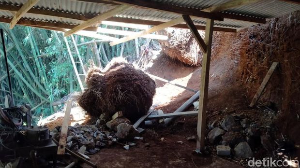 Akar Pohon Bambu Tewaskan Warga Sukabumi
