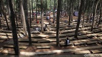Ratusan pelaku wisata dan masyarakat di Kalurahan Mangunan, Kapanewon Dlingo, Bantul menjalani vaksinasi di kawasan hutan Pinus Mangunan.