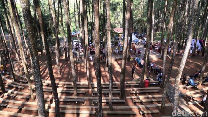 Hutan pinus jadi salah satu objek wisata andalan di Bantul. Namun bukan untuk berwisata, sejumlah warga datang ke sana untuk jalani vaksinasi COVID-19 massal.