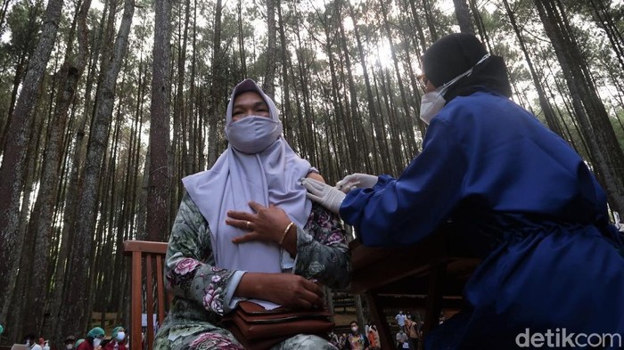 Hutan pinus jadi salah satu objek wisata andalan di Bantul. Namun bukan untuk berwisata, sejumlah warga datang ke sana untuk jalani vaksinasi COVID-19 massal.