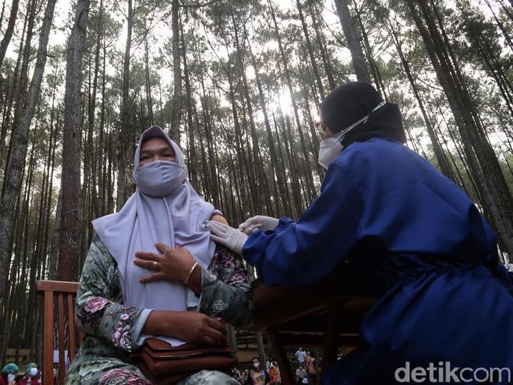 Bukan Berwisata, Warga Datangi Hutan Pinus untuk Vaksin COVID-19