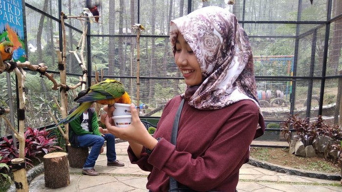 Burung macau TWGC Lembang