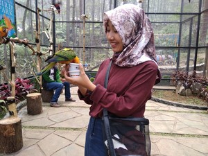 Kesulitan Uang, Pemilik Objek Wisata di Lembang Jual Burung