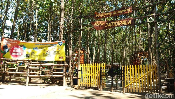 Sebelumnya, Saung Bali dan Kebon Jatidipala memiliki banyak wahana bermain, dan berswafoto. Wahana yang ditawarkan pun cocok bagi semua kalangan, terutama bagi keluarga. Sebelumnya, Saung Bali dan Kebon Jatidipala memiliki banyak wahana bermain, dan berswafoto. Wahana yang ditawarkan pun cocok bagi semua kalangan, terutama bagi keluarga.