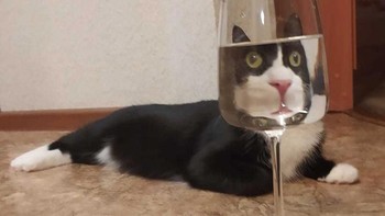 Ekspresi kaget. Foto: dok Sadanduseless