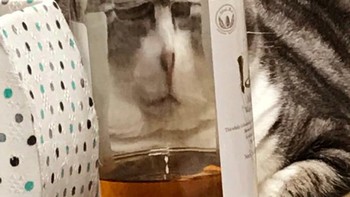 Muka manyun. Foto: dok Sadanduseless