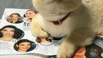 Muka penasaran. Foto: dok Sadanduseless