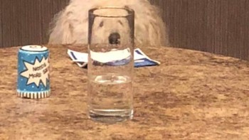 Wajahnya jadi mengecil. Foto: dok Sadanduseless