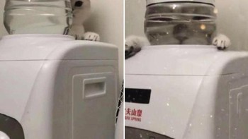 Jadi seperti koki. Foto: dok Sadanduseless