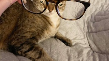 Wajahnya malu. Foto: dok Sadanduseless