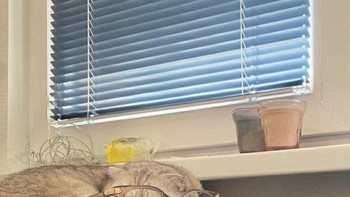 Wajahnya jadi mengecil. Foto: dok Sadanduseless