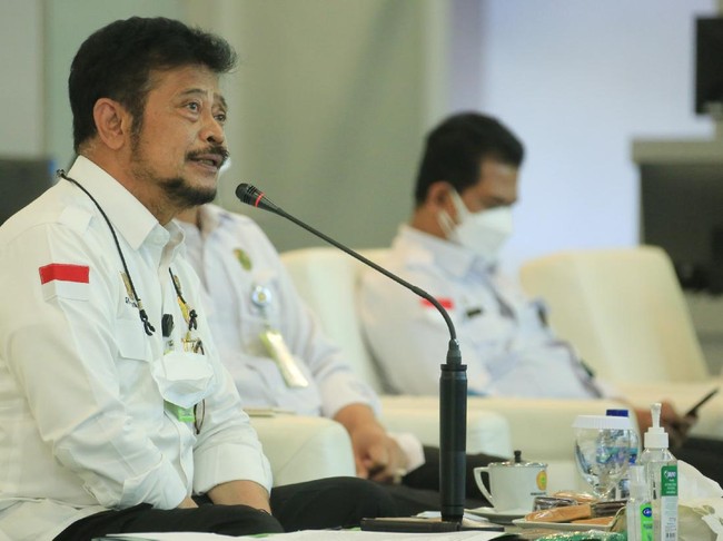 Mentan Pimpin Sidang Menteri Pertanian ASEAN, Ini yang Dibahas