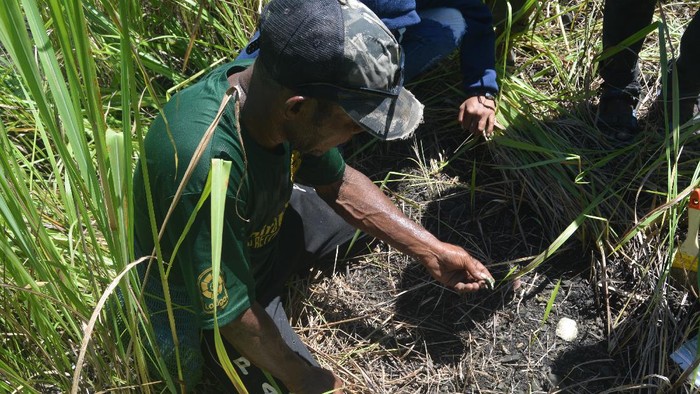Penemuan cangkang laut oleh Badan Arkeologi Papua di Bukit Khulutiyauw