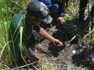 Balai Arkeologi Temukan Cangkang Kerang Laut di Bukit Khulutiyauw, Pertanda Apa?