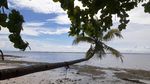 Pulau Kapotar yang Cantik di Papua, Punya Tower tapi Sinyal Tak Ada