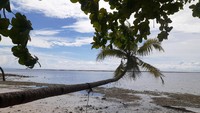 Pantai Mowirin jadi destinasi favorit yang dikunjungi wisatawan. Sebelum pandemi, setiap akhir pekan pantai ini banyak dikunjungi wisatawan. (Hari Suroto/Istimewa)