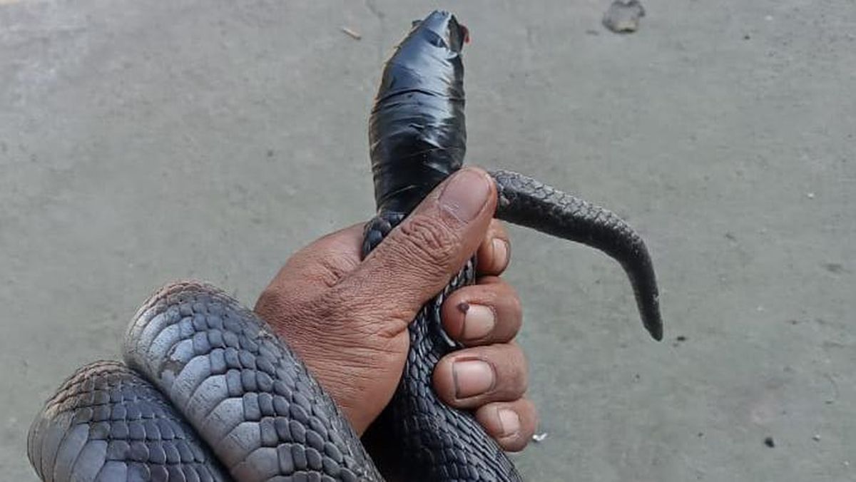 Belarusiyada samimiy dam olish Yalangoch fotosuratlarda tanishish