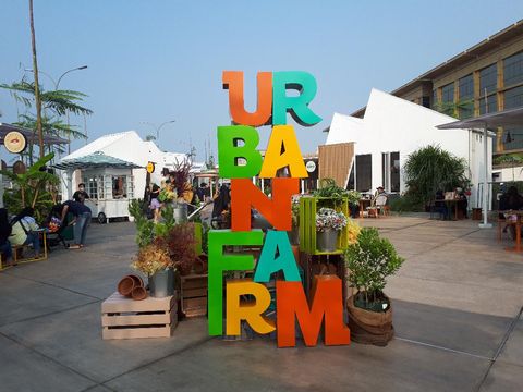 Urban Farm