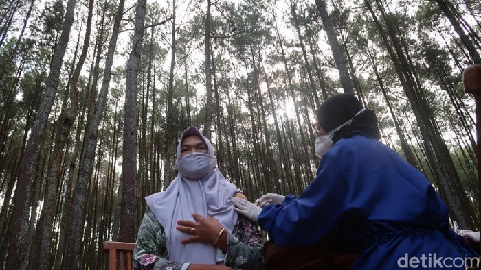Vaksinasi Covid-19 di hutan pinus Mangunan