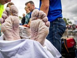 Merinding! Ini Bukti Perjuangan Pahlawan Olahraga Harumkan Nama Bangsa