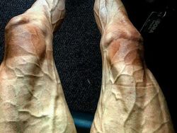 Merinding! Ini Bukti Perjuangan Pahlawan Olahraga Harumkan Nama Bangsa