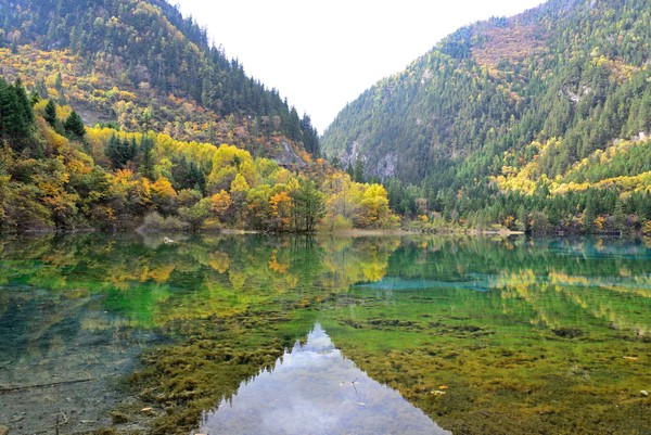 Danau ini bisa berair jernih karena mengandung kalsium karbonat dan hydrophytes. Konon, kandungan ini juga yang membuat danau Five Flower ini bisa berubah warna seperti toska, biru, atau biru kehitaman dalam sewaktu-watu. Danau ini bisa berair jernih karena mengandung kalsium karbonat dan hydrophytes. Konon, kandungan ini juga yang membuat danau Five Flower ini bisa berubah warna seperti toska, biru, atau biru kehitaman dalam sewaktu-watu.